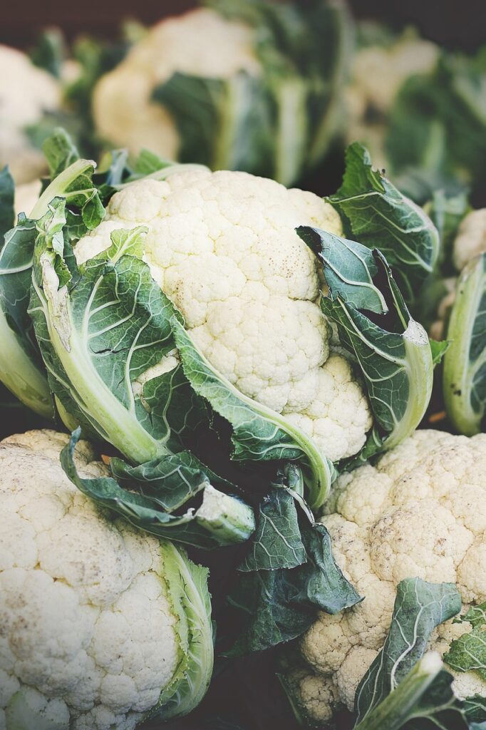 cauliflower, brassica oleracea var, botrytis l, cheese cabbage, flowering cabbage, grape cabbage, minaret cabbage, italian cabbage, vegetables, food, nourishment, vegetarian, fresh, vegetable plants, bio, agriculture, vegetable cabbage, flower sprouts, cauliflower, cauliflower, cauliflower, cauliflower, cauliflower