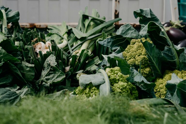 A variety of fresh organic vegetables including cabbages and broccoli at a farmers market.